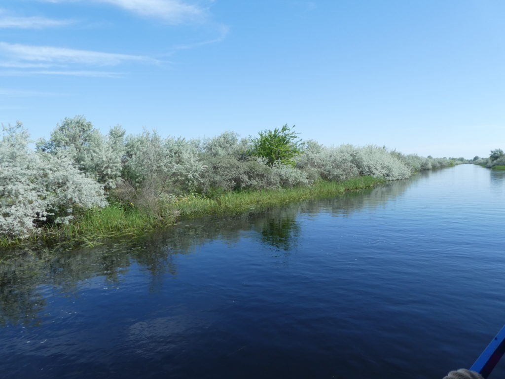 Canal en Roumanie