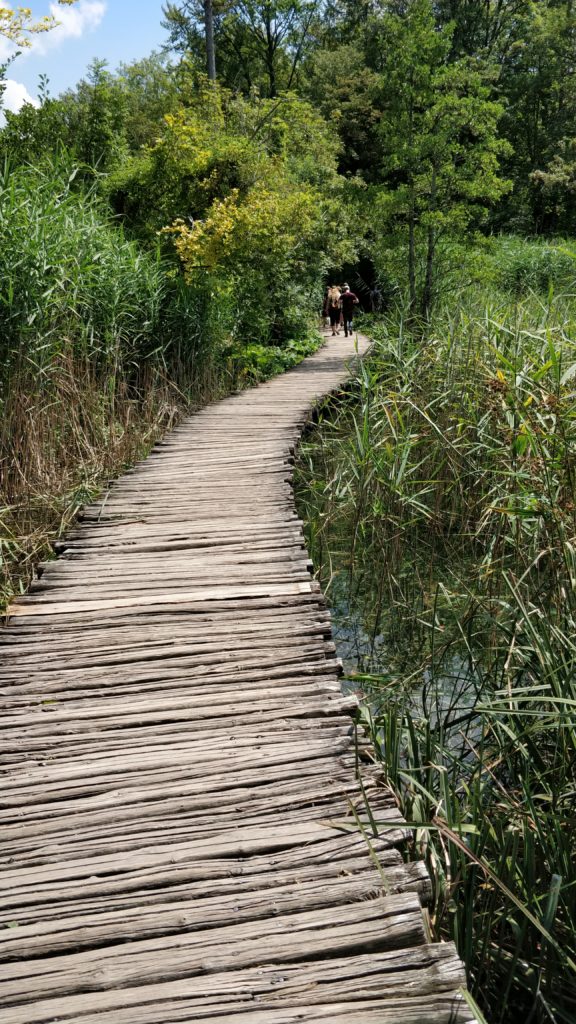 Ponton Lacs de Plitvice